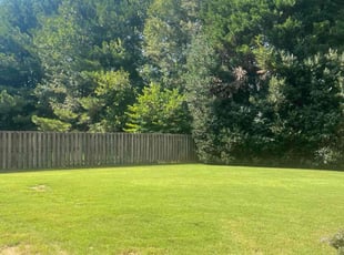 Latreecia F.'s lawn maintenance service result