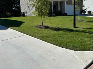 Valencia H.'s turf care service result