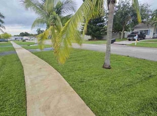 Kathie R.'s turf maintenance service result