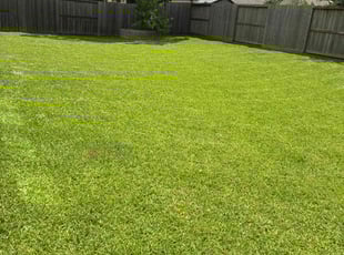 Lisa N.'s lawn care services service result