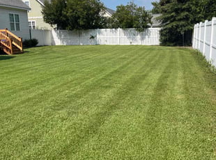 Hailey G.'s lawn care services service result