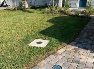 Sandra S.'s lawn care service result
