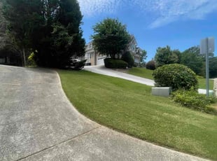 Rahsheta D.'s grass maintenance service result
