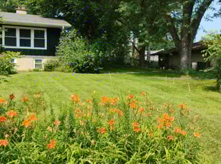 Dalton P.'s lawn service service result