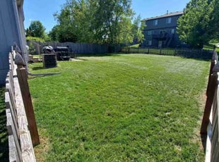 Shelia W.'s turf care service result