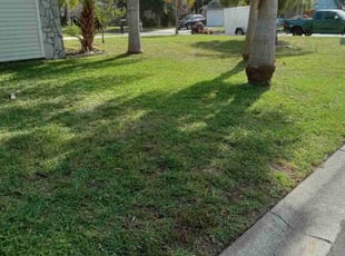 Kelli W.'s turf maintenance service result