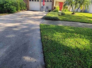 Steven S.'s grass maintenance service result