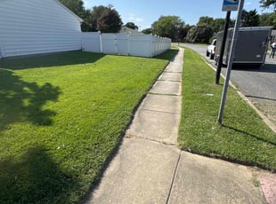 Pam H.'s turf care service result