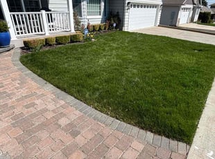 Rochelle H.'s lawn care services service result