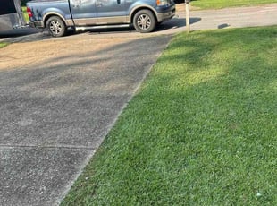 Rick C.'s turf care service result