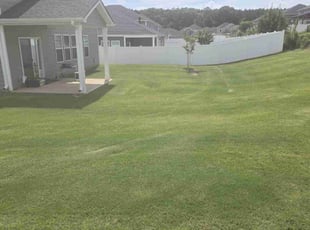 Jt R.'s lawn service service result