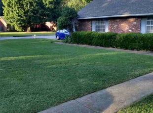 Laura C.'s grass maintenance service result