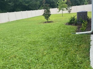 Betty D.'s lawn maintenance service result