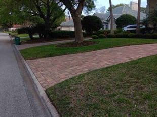 Rosie H.'s turf maintenance service result