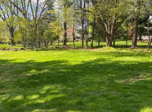 Richard B.'s lawn care services service result
