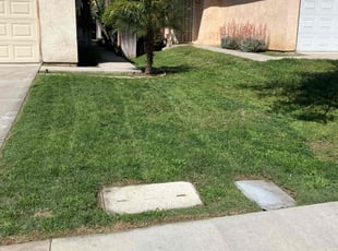 Larry U.'s lawn care services service result