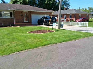 Khalida A.'s turf maintenance service result