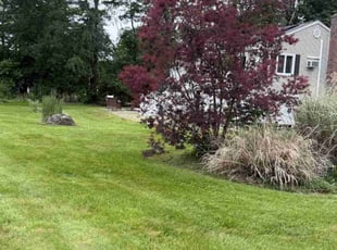 Ibrahim I.'s lawn care services service result