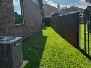 Nick A.'s lawn care service result