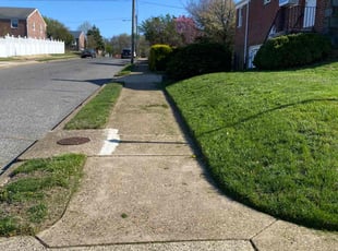 Raed F.'s grass maintenance service result