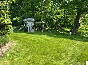 Gina R.'s grass maintenance service result