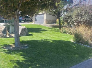 Sandy H.'s lawn care service result