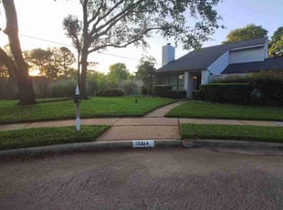 Ron R.'s grass maintenance service result