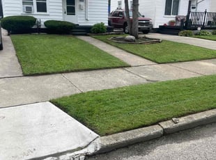 Janis M.'s turf maintenance service result