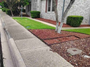 Jasmine N.'s lawn care services service result