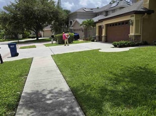 Brent C.'s turf care service result
