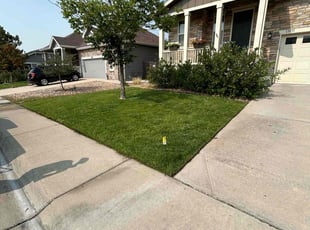 Mike R.'s lawn maintenance service result