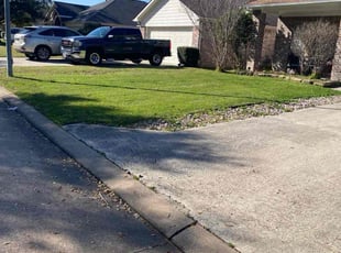 James W.'s grass maintenance service result