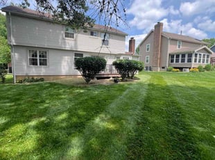 Emalie R.'s Bush Trimming service result