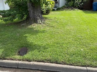 Candace S.'s lawn service service result