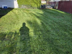 Eddie T.'s lawn maintenance service result