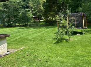 Tina T.'s lawn care services service result