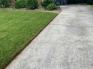 Mary E.'s turf maintenance service result