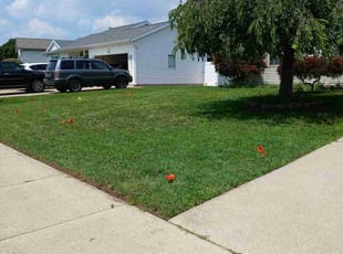 Tom O.'s grass maintenance service result