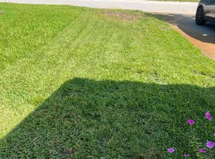 Devon L.'s turf maintenance service result