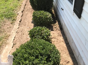 Charline B.'s Flower Bed Weeding service result