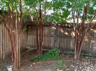 Gonzalo A.'s Bush Trimming service result