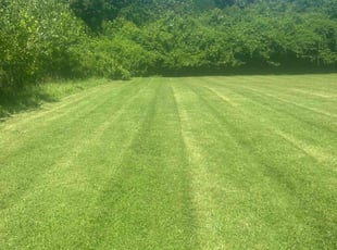 Toni R.'s lawn maintenance service result