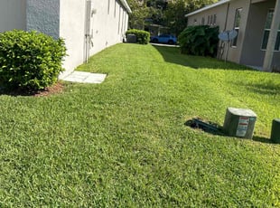 Aleta K.'s lawn care service result