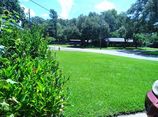 Kenneth G.'s lawn service service result