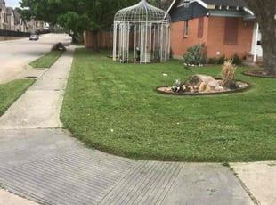 Martin P.'s turf maintenance service result