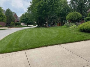 Dan O.'s lawn care service result
