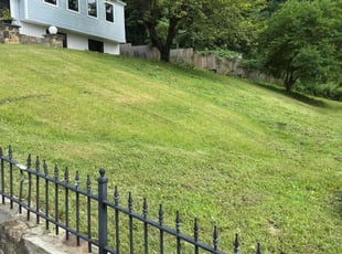 Bruce G.'s lawn care service result