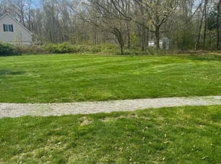 Lance T.'s turf care service result