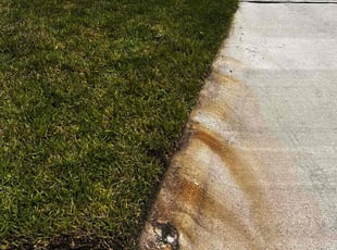 Steve D.'s lawn service service result