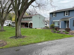 Lori B.'s turf care service result